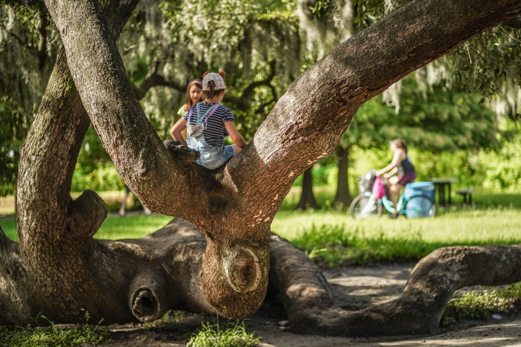 Kids in Tree